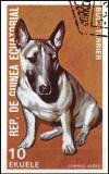 Colnect-4990-029-Bull-Terrier-Canis-lupus-familiaris.jpg