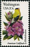 Colnect-5097-158-Washington---American-Goldfinch-Rhododendron-.jpg