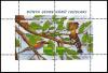 Colnect-5344-340-European-Bee-eater-Merops-apiaster-Eurasian-Hoopoe-Upupa.jpg