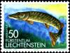 Colnect-5445-154-Northern-Pike-Esox-lucius.jpg