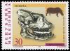 Colnect-568-315-Rhinoceros-Aceratherium-incisivum---Skull.jpg