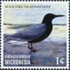 Colnect-5782-115-Black-Tern---Chlidonias-niger.jpg