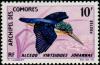 Colnect-787-725-Madagascar-Kingfisher-Alcedo-vintsioides-ssp-johannae.jpg