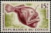 Colnect-950-772-Humpback-Anglerfish-Melanocetus-johnsoni.jpg