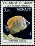 Colnect-1318-789-Redtail-Butterflyfish-Chaetodon-collare.jpg