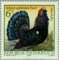 Colnect-137-157-Western-Capercaillie-Tetrao-urogallus.jpg