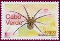 Colnect-1750-167-Spider-Hersiliola-simoni.jpg