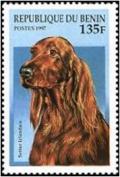 Colnect-2091-964-Irish-Setter-Canis-lupus-familiaris.jpg