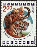 Colnect-4413-045-Tiger-Panthera-tigris.jpg