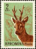 Colnect-4945-298-Roe-Deer-Capreolus-capreolus.jpg