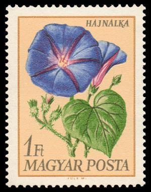 1929_Flowers_100.jpg
