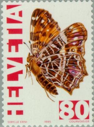 Colnect-141-191-Map-Butterfly-Araschnia-levana.jpg