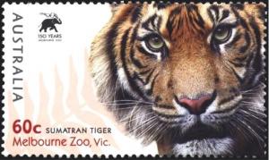 Colnect-1554-581-Sumatran-Tiger-Panthera-tigris-sumatrae.jpg