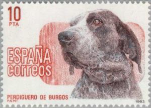 Colnect-175-786-Burgos-Setter-Canis-lupus-familiaris.jpg