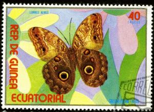 Colnect-1961-945-Owl-Butterfly-Caligo-prometheus.jpg