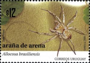 Colnect-2043-605-Wolf-Spider-Allocosa-brasiliensis.jpg