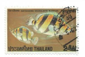 Colnect-2280-609-Indonesian-Tiger-Perch-Datnioides-microlepis.jpg