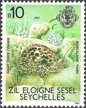 Colnect-2312-539-Giant-Tiger-Cowrie-Cypraea-tigris.jpg