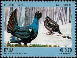 Colnect-2416-796-Western-Capercaillie-Tetrao-urogallus.jpg