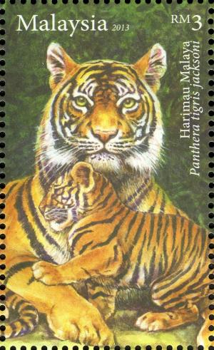Colnect-2568-431-Malayan-Tiger-Panthera-tigris-jacksoni.jpg