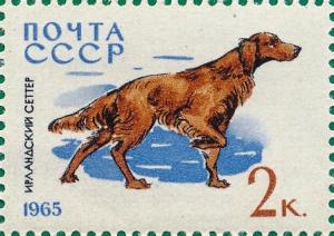 Colnect-4136-459-Irish-Setter-Canis-lupus-familiaris.jpg