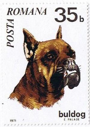 Colnect-447-548-German-Boxer-Canis-lupus-familiaris.jpg