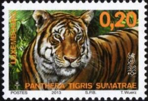 Colnect-5234-208-Sumatran-Tiger-Panthera-tigris-sumatrae.jpg