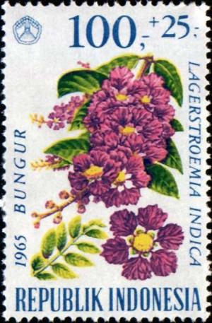 Colnect-959-371-Lagerstroemia-indica.jpg