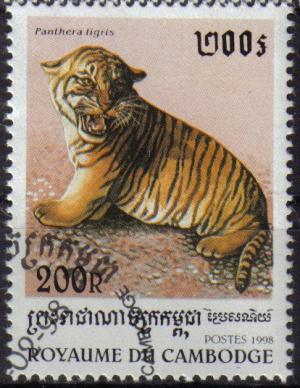 Colnect-982-143-Tiger-Panthera-tigris.jpg