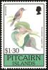 Colnect-2648-964-Pitcairn-Reed-warbler-Acrocephalus-vaughani-ssp-taiti.jpg