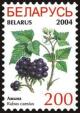 Colnect-1058-276-Blackberries---Rubus-caesius.jpg