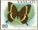 Colnect-1230-402-Swallowtail-Butterfly-Papilio-canopus-hypiscles.jpg