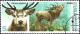 Colnect-1256-952-Red-Deer-Cervus-elaphus-Megaloceros.jpg