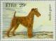 Colnect-128-721-Irish-Terrier-Canis-lupus-familiaris.jpg