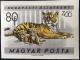 Colnect-1469-618-Tiger-Panthera-tigris.jpg