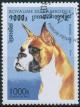 Colnect-1562-350-German-Boxer-Canis-lupus-familiaris.jpg