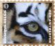 Colnect-1572-797-Tiger-Panthera-tigris.jpg