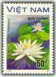 Colnect-1635-544-White-Waterlily-Nymphaea-capensis.jpg