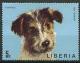 Colnect-1670-863-Fox-Terrier-Canis-lupus-familiaris.jpg