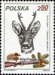 Colnect-1995-398-Roe-Deer-Capreolus-capreolus.jpg