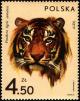 Colnect-3794-165-Sumatran-Tiger-Panthera-tigris-sumatrae.jpg