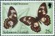 Colnect-3964-490-Swallowtail-Butterfly-Papilio-bridgei-hecataeus.jpg