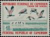 Colnect-2759-972-Black-Crowned-Cranes-Balearica-pavonina-at-Waza-Camp.jpg