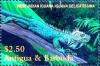 Colnect-3911-502-West-Indian-iguana.jpg