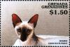 Colnect-4385-344-Siamese-chocolate-point.jpg