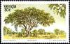 Colnect-6192-864-Trees-Acacia-sieberana.jpg