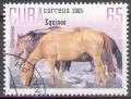 Colnect-1275-703-Cimarrones-Equus-ferus-caballus.jpg