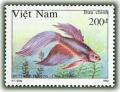 Colnect-1657-022-Brown-violet-Siamese-Fighting-Fish-Betta-splendens.jpg