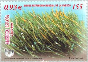 Colnect-182-710-Grasses---Ses-Salines-Nature-Reserve-.jpg