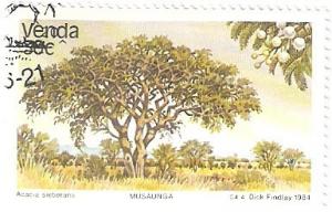 Colnect-2840-094-Trees-Acacia-sieberana.jpg